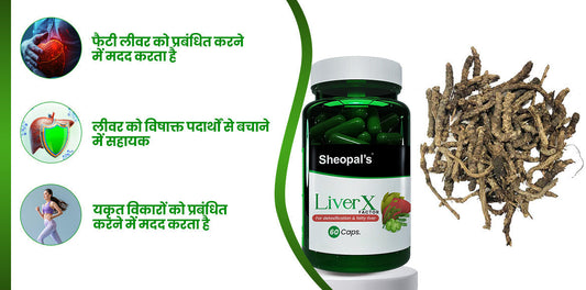 medicine for fatty liver