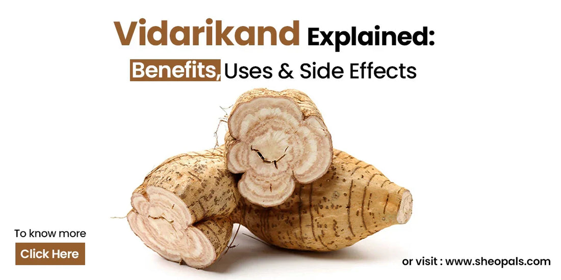 Vidarikand Explained: Benefits, Uses, and Side Effects