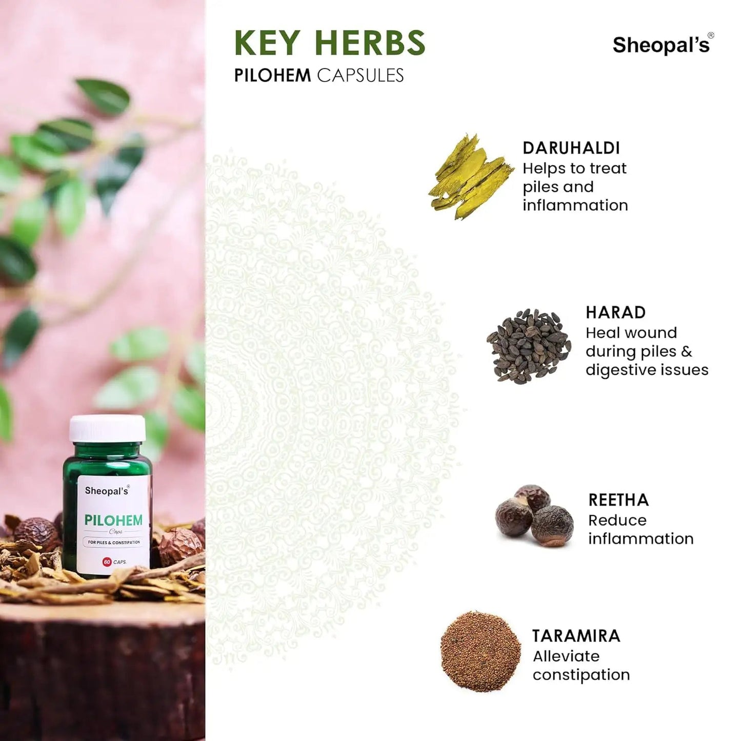 Pilohem: Best Ayurvedic Capsule and Oil for Piles Sheopals