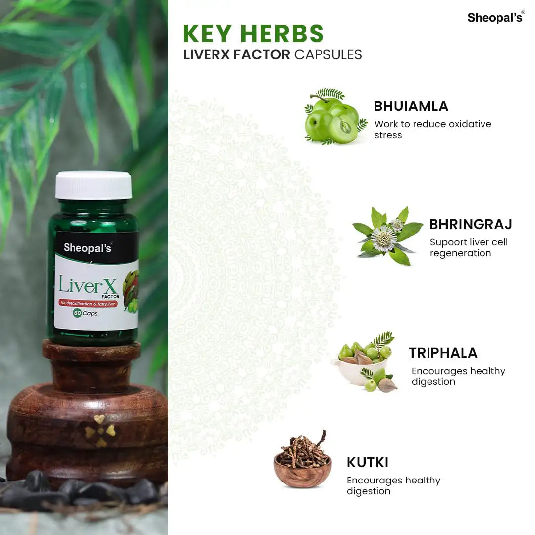 LiverX Factor: Detox Your Liver With Liver Care Capsule Sheopals