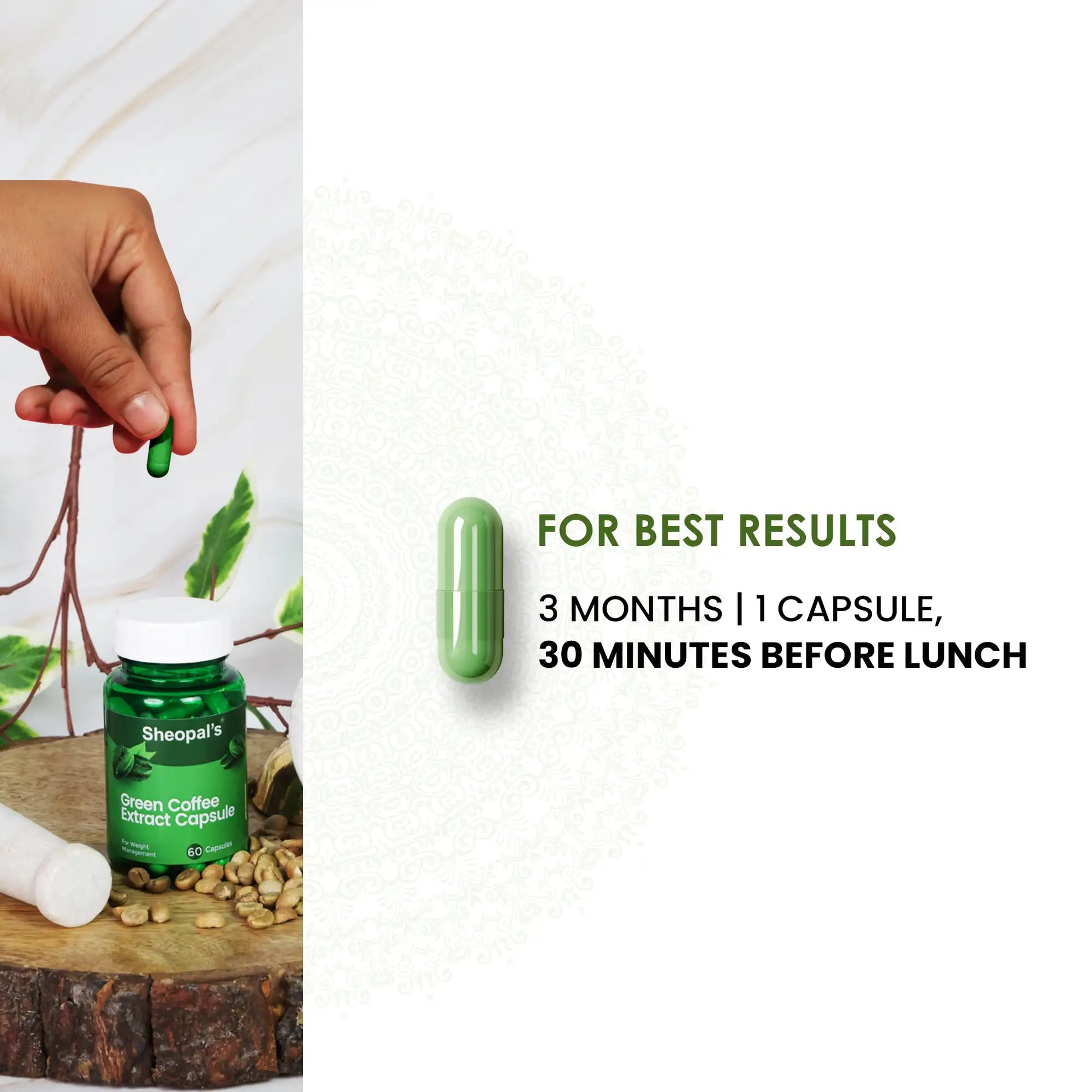 Green Coffee Extract Capsule Sheopals