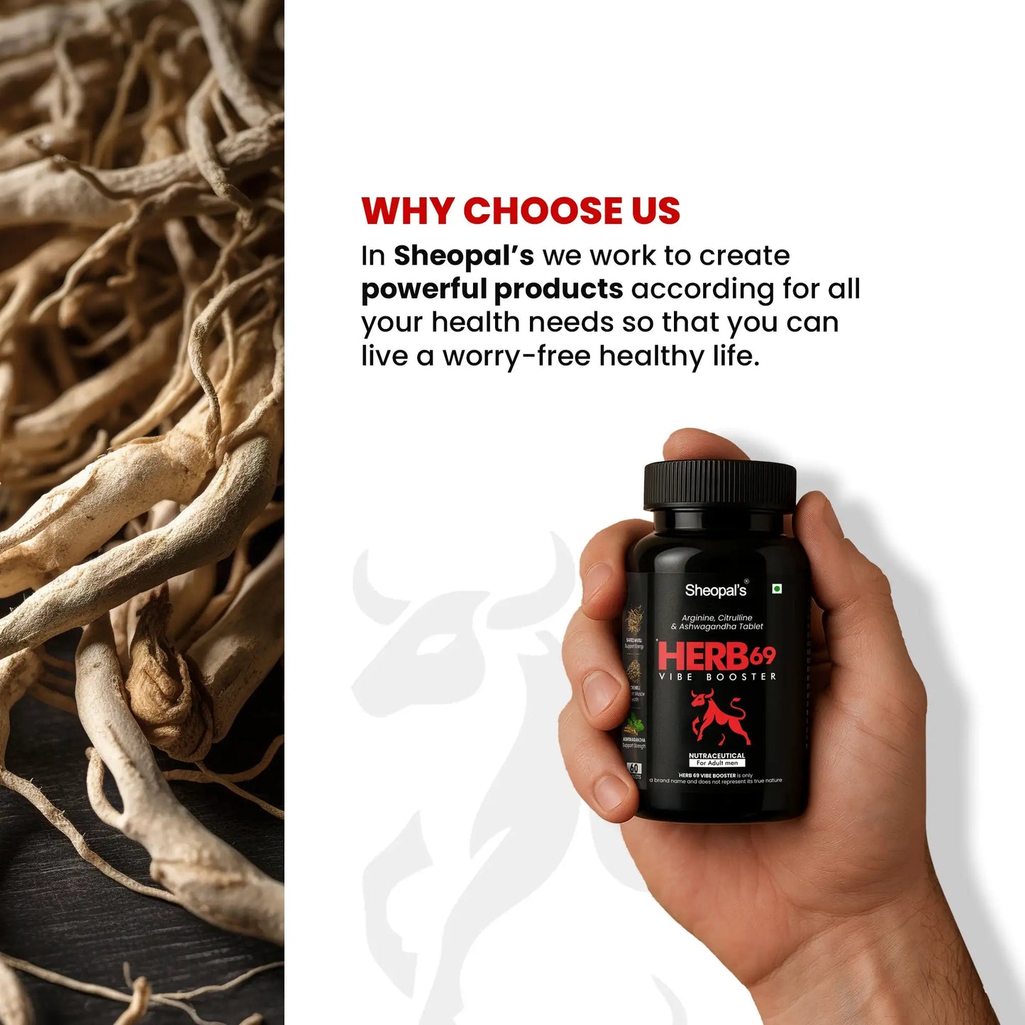 Herb69 Vibe Booster – Ayurvedic Medicine For Energy and Stamina Sheopals