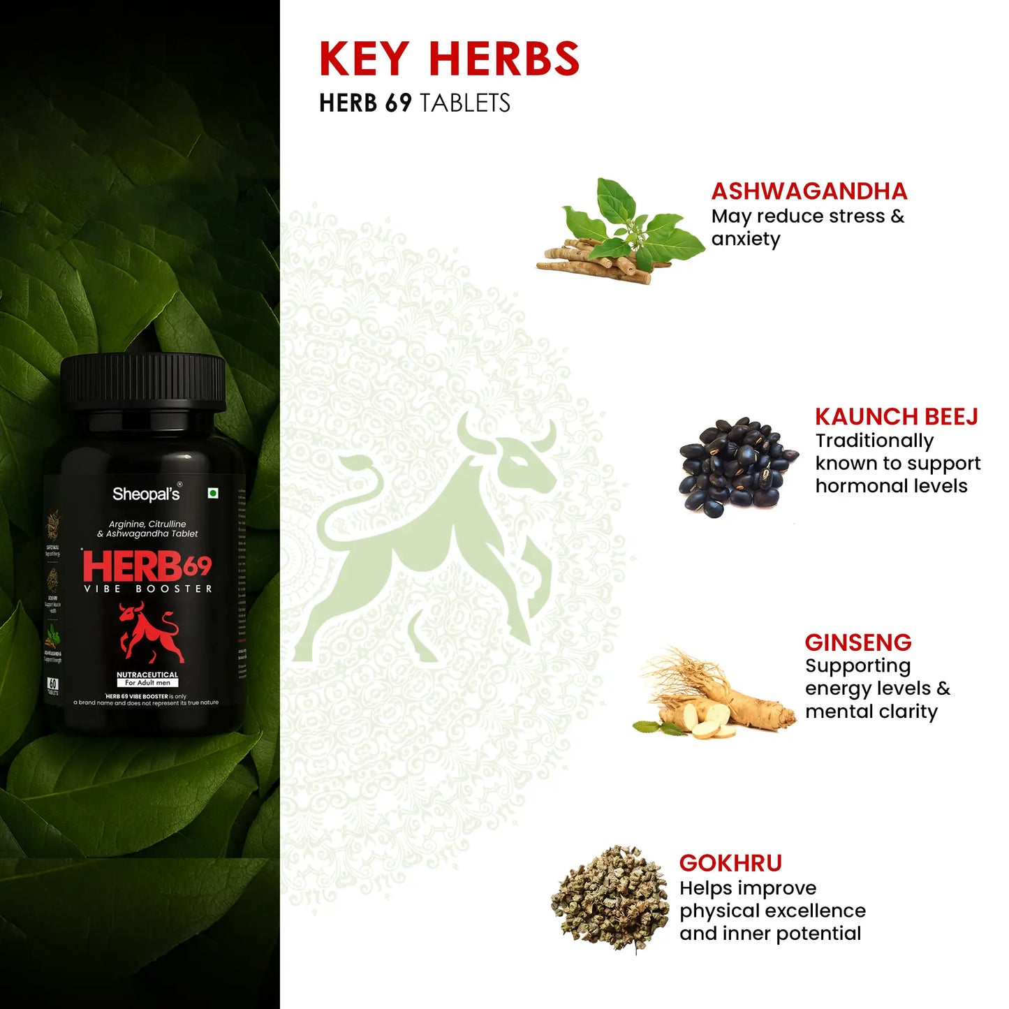 Herb69 Vibe Booster Tabs | Ultimate Stamina Booster for Energy & Performance