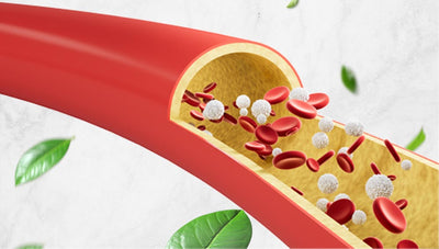 helps low cholesterol