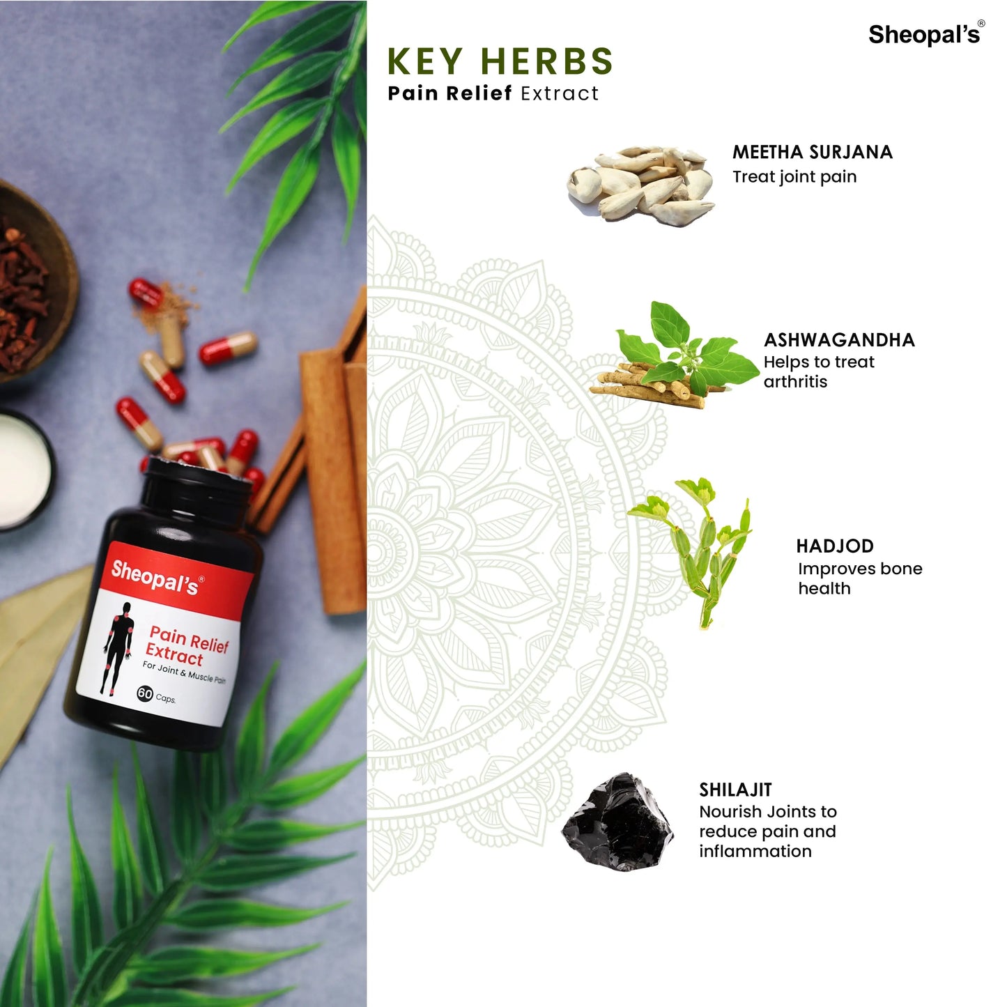 Pain Relief Extract