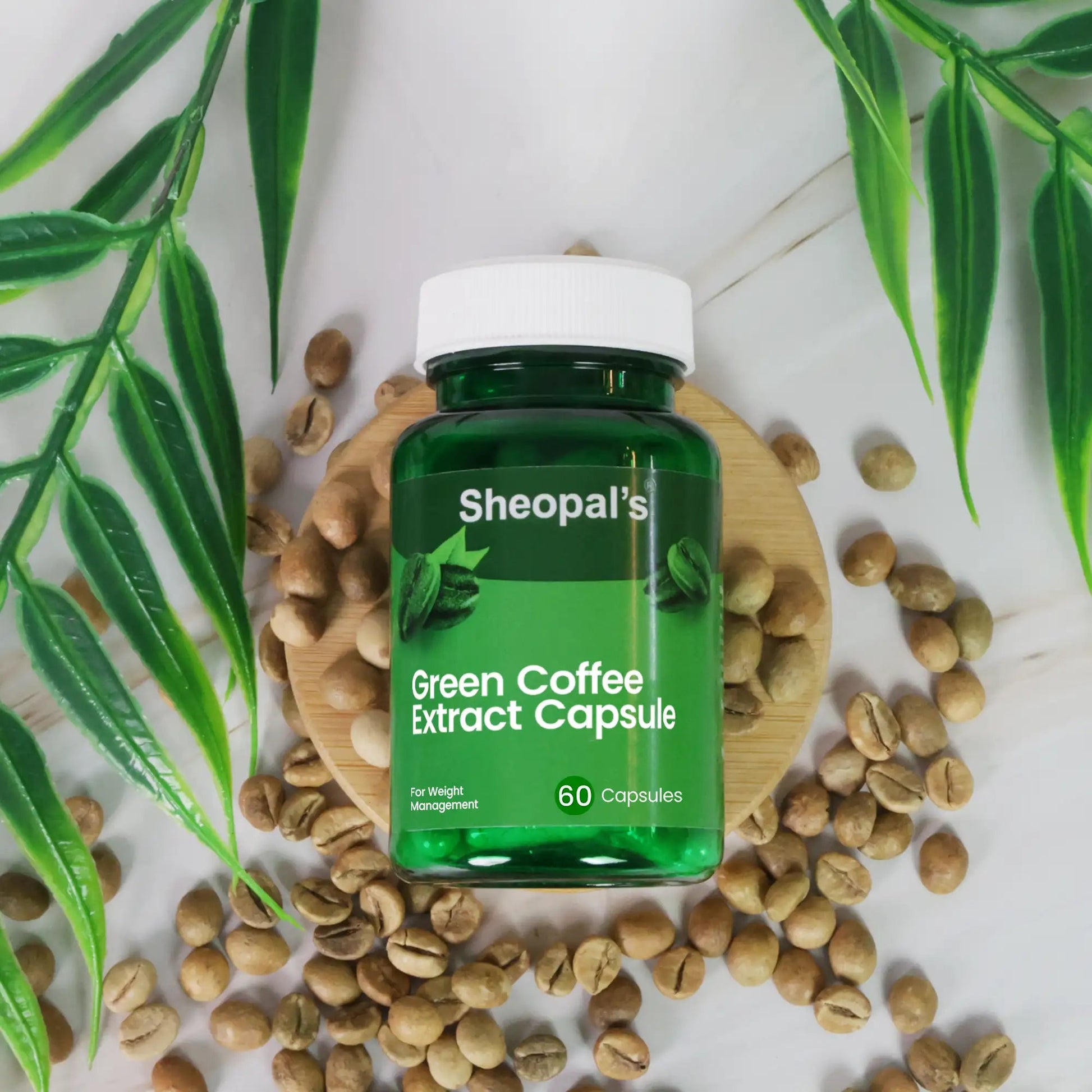 Green Coffee Extract Capsule Sheopals