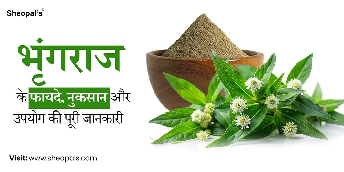 भृंगराज के फायदे - Bhringraj Benefits