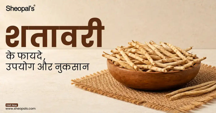 शतावरी के फायदे, उपयोग और नुकसान - Shatavari Benefits, Uses, and Side Effects