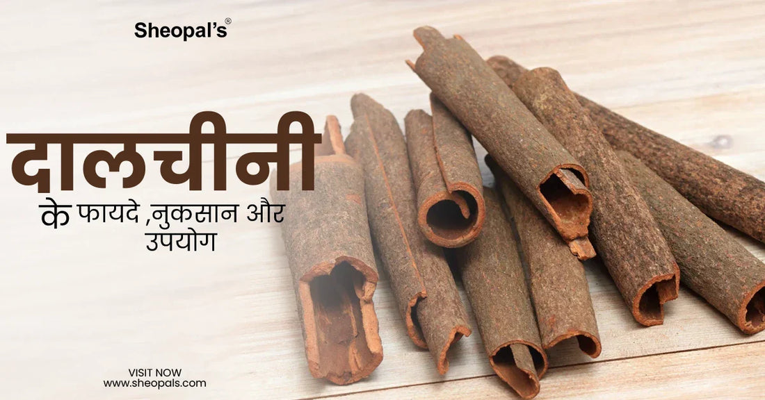 दालचीनी के फायदे - Dalchini ke Fayde