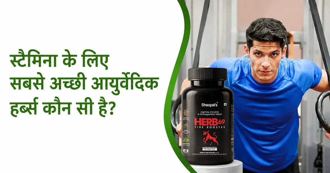 स्टैमिना के लिए सबसे अच्छी आयुर्वेदिक हर्ब्स