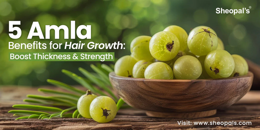 Amla Benefits for Hair Growth