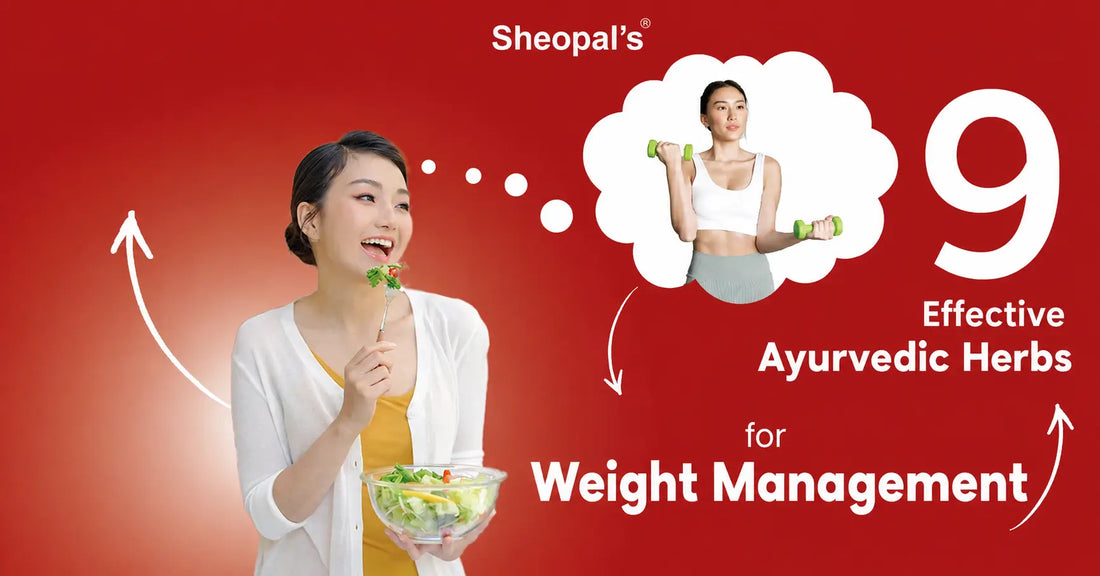Ayurvedic Herbs for Weight Management