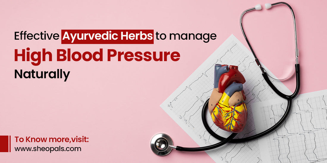 Ayurvedic Herbs to Manage High Blood Pressure
