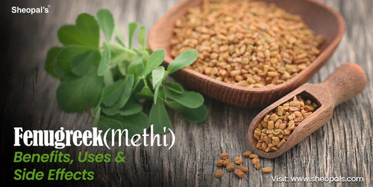 Fenugreek Benefits