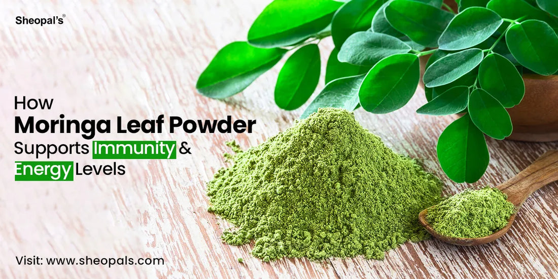 How Moringa Leaf Powder Supports Immunity and Energy Levels