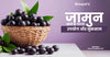 जामुन खाने के फायदे, नुकसान और उपयोग  - Jamun khane ke Fayde,Uses And Side Effects In Hindi