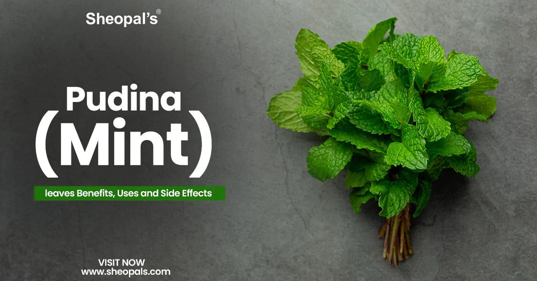Pudina (Mint) Leaves Benefits,