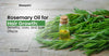 Rosemary Oil for Hair Growth: Benefits, Uses, and Side Effects