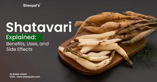 Shatavari Explained: Benefits, Uses, and Side Effects