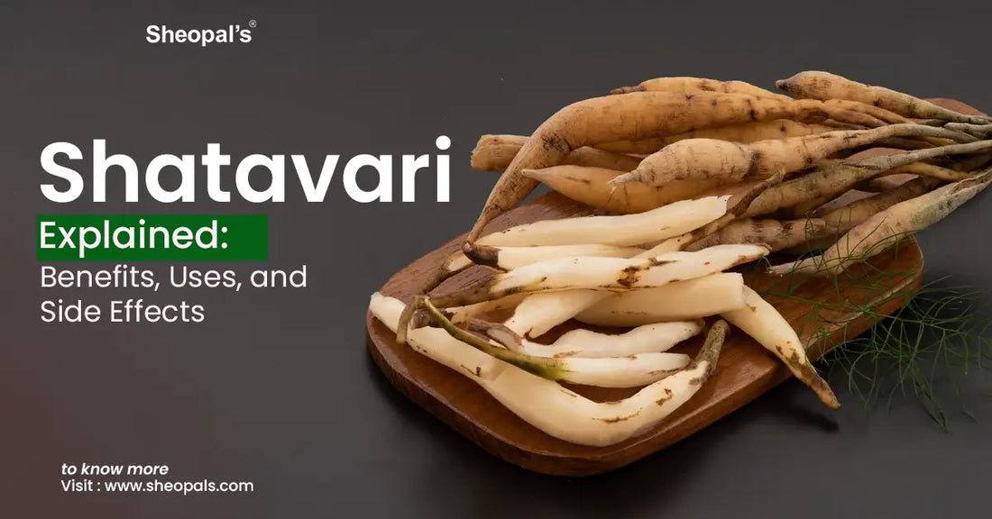 Shatavari Explained: Benefits, Uses, and Side Effects