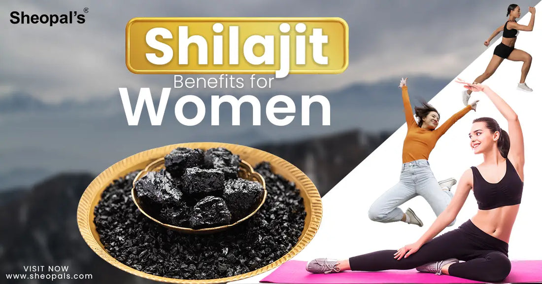 Shilajit Benefits for Women: Ayurvedic Secret to Energy & Hormone Balance