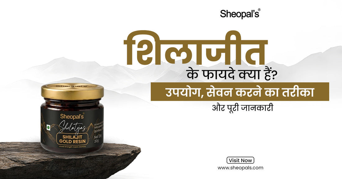 Shilajit Ke Fayde Kya hai