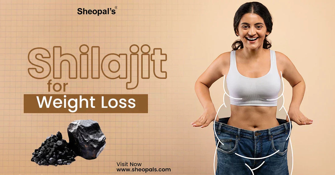 Shilajit for Weight Loss
