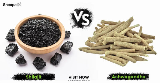 Shilajit vs Ashwagandha