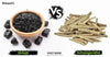 Shilajit vs Ashwagandha: Benefits, Differences & Uses