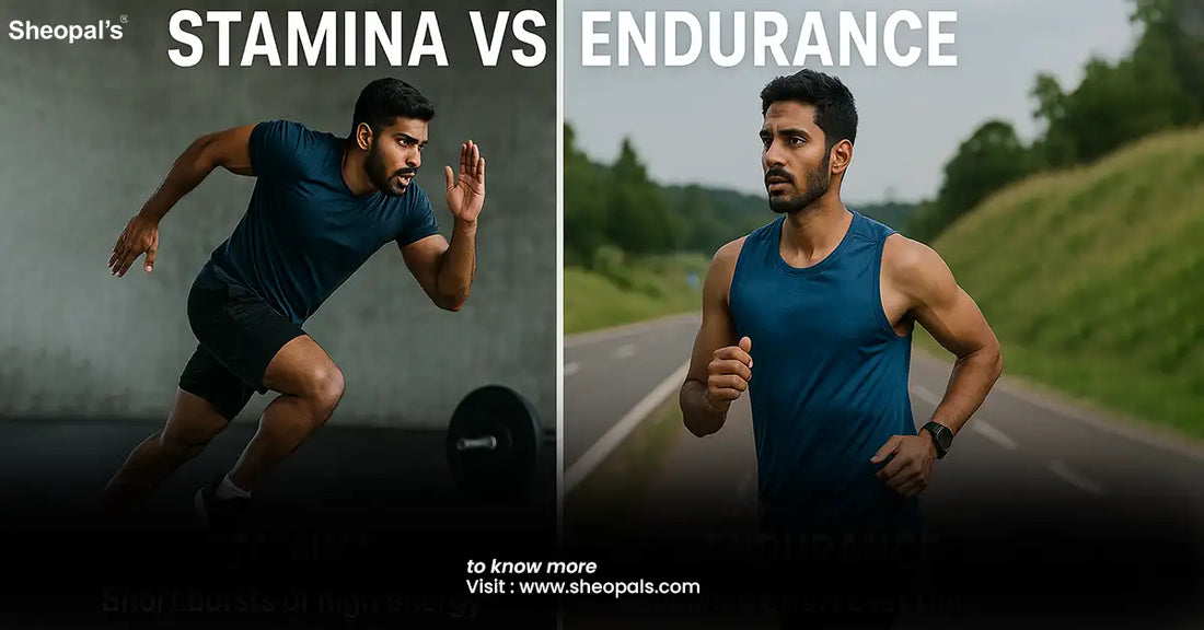 Stamina vs Endurance