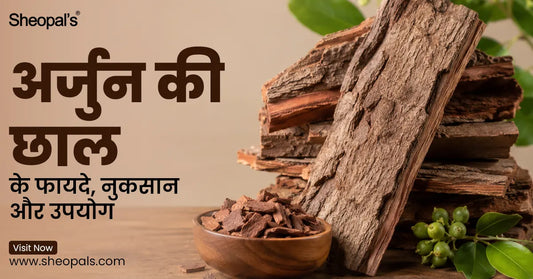 अर्जुन की छाल के फायदे