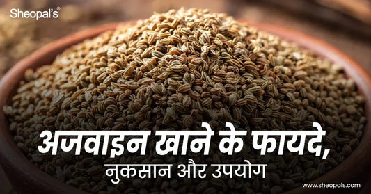 अजवाइन खाने के फायदे, नुकसान और उपयोग (Ajwain Khane Ke Faydeअजवाइन खाने के फायदे - Ajwain Khane Ke Fayde