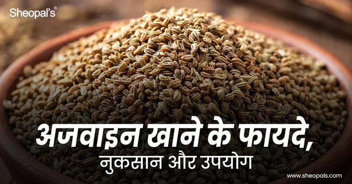 अजवाइन खाने के फायदे, नुकसान और उपयोग (Ajwain Khane Ke Fayde, Uses And Side Effects In Hindi)
