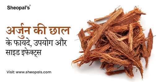 अर्जुन की छाल के फायदे