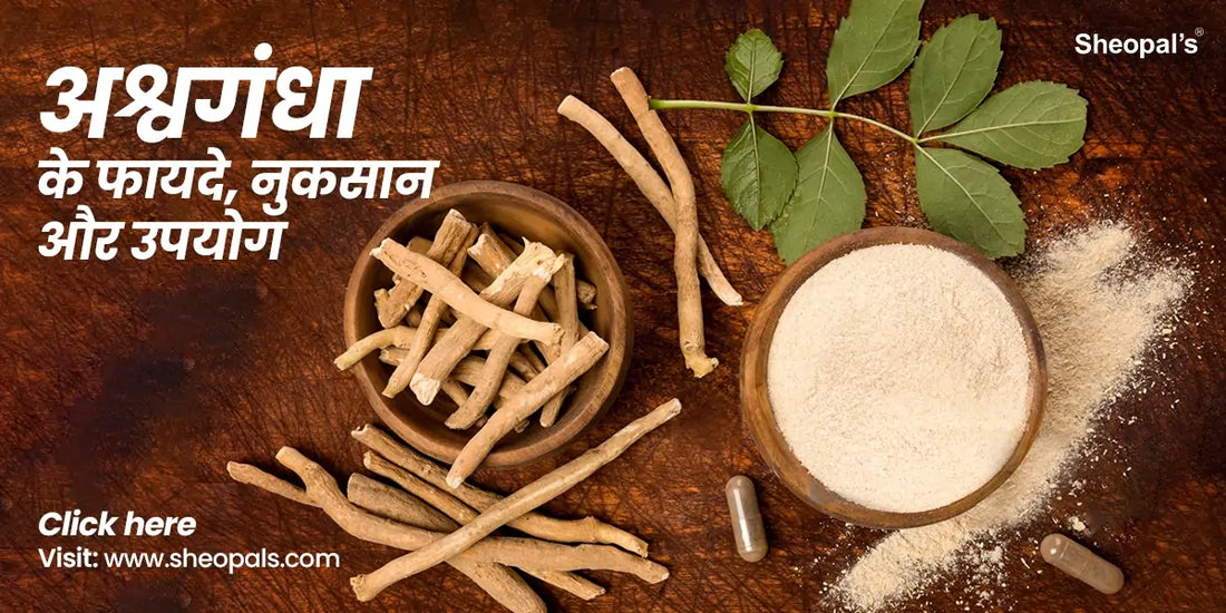 अश्वगंधा के फायदे, Ashwagandha Benefits