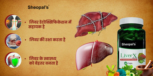 liver x with Bhumi Amla