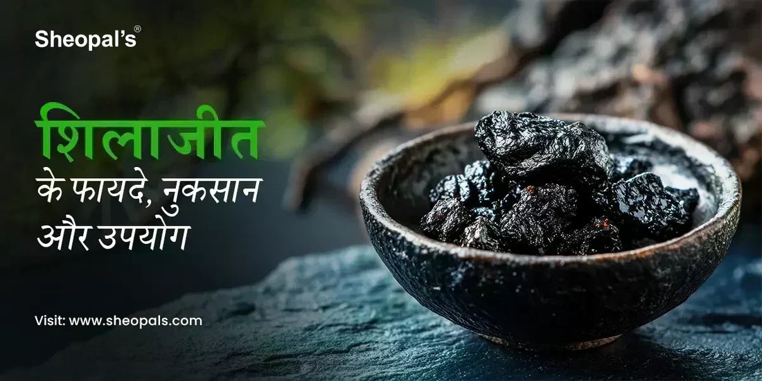 शिलाजीत के फायदे और नुकसान