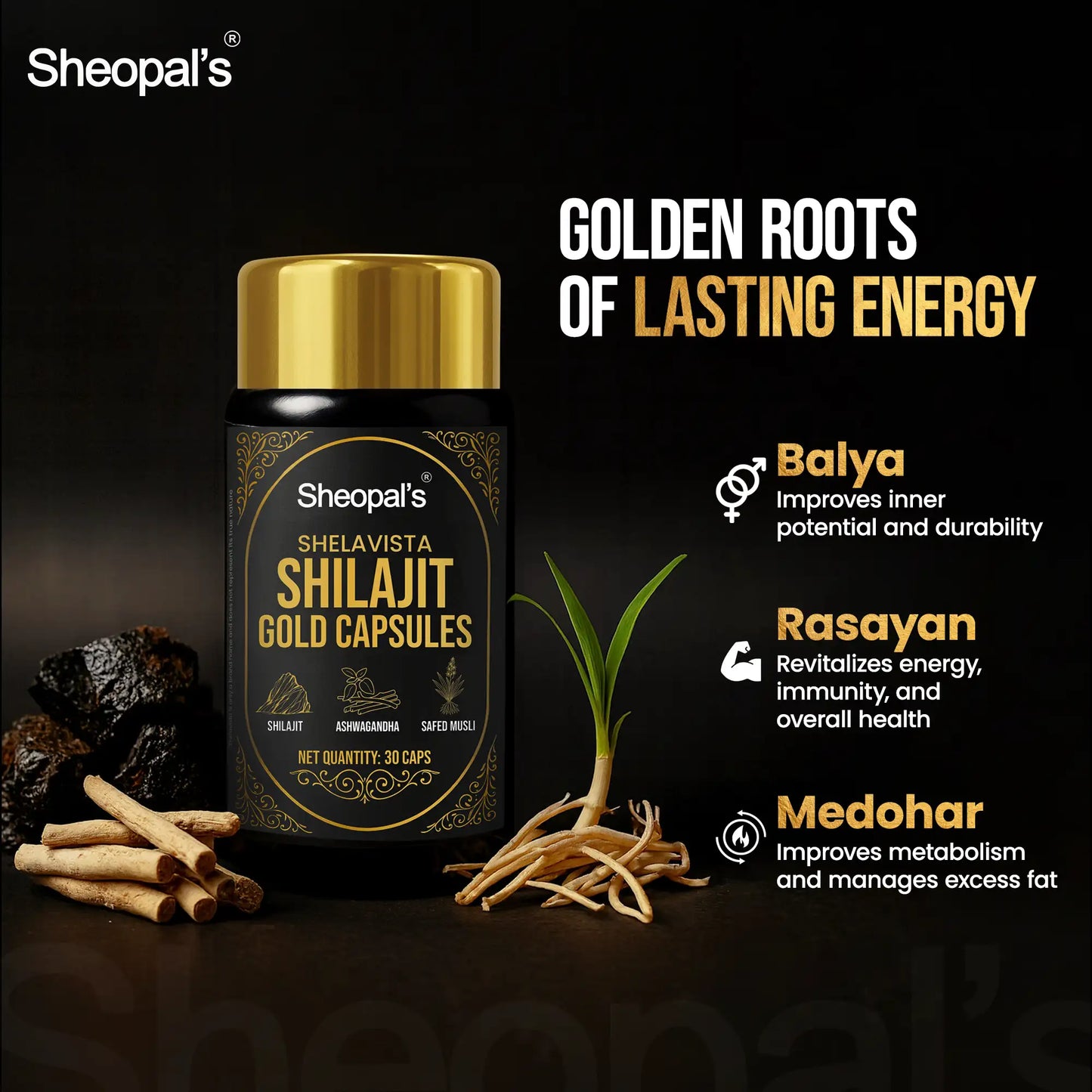 Shelavista Shilajit Gold Capsules - Ayurvedic Formula for Daily Vitality Support | 30 Capsules