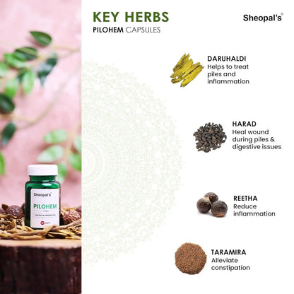 Pilohem: Best Ayurvedic Capsule and Oil for Piles Sheopals
