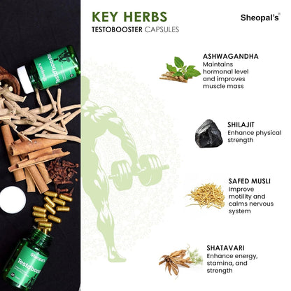 Testo Booster Capsule: Best Ayurvedic Medicine to Boost Immunity & Energy Sheopals
