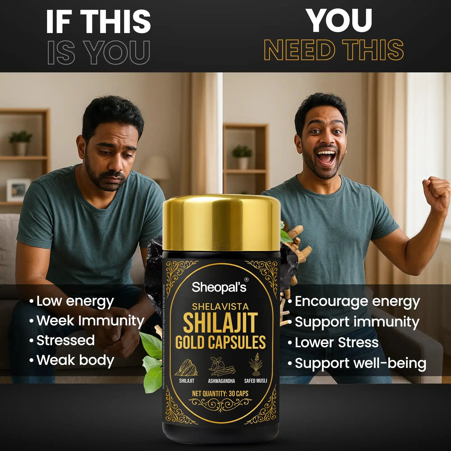 Shelavista Shilajit Gold Capsules - Ayurvedic Formula for Daily Vitality Support | 30 Capsules