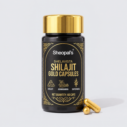 Shelavista Shilajit Gold Capsules | Ayurvedic Daily Energy & Wellness Support