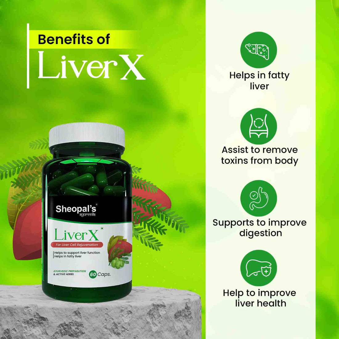 LiverX Detoxify Ayurveda Medicine for Fatty Liver Sheopals