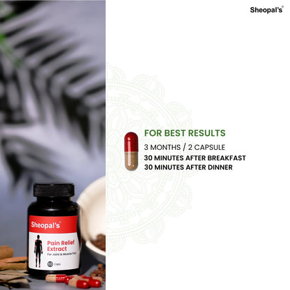 Ayurvedic Pain Relief Capsules