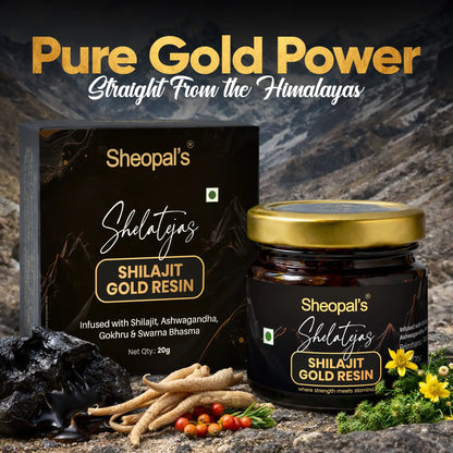 Shelatejas Shilajit Gold Resin | Ayurvedic Formula for Overall Health & Energy