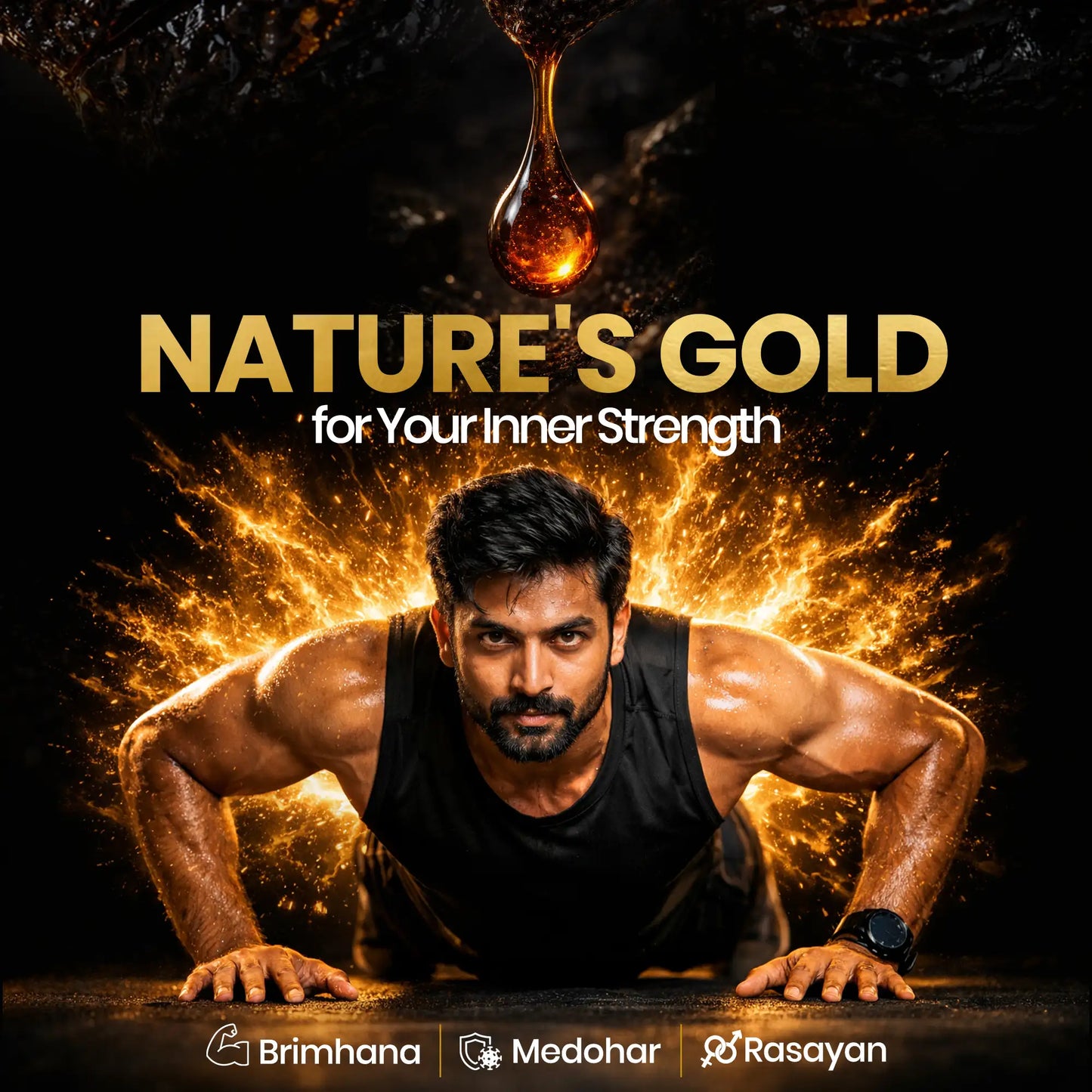 Shelatejas Shilajit Gold Resin | Ayurvedic Formula for Overall Health & Energy