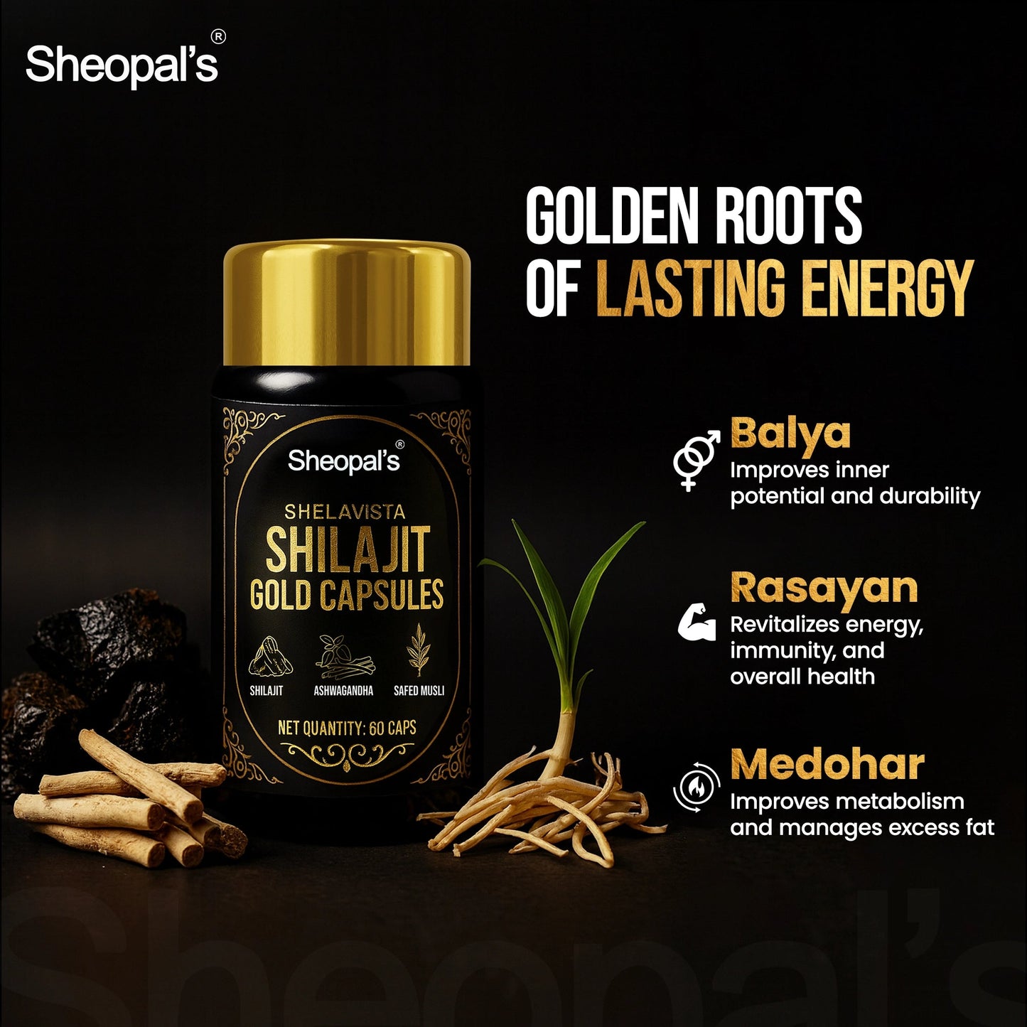Shelavista Shilajit Gold Capsules - Natural Support to Enhance Energy, Stamina, and Vitality Sheopals