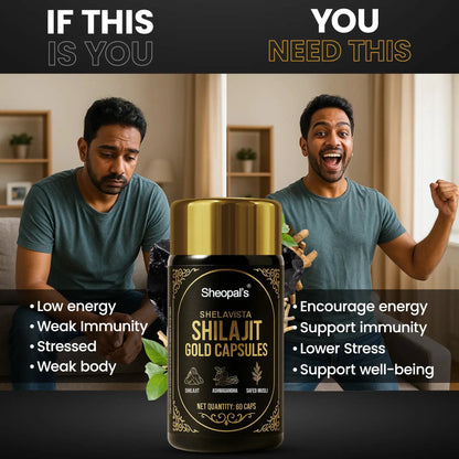 Sheopal's Shilajit Gold Capsules (Shelavista) - Natural Support to Enhance Energy, Stamina, and Vitality Sheopals