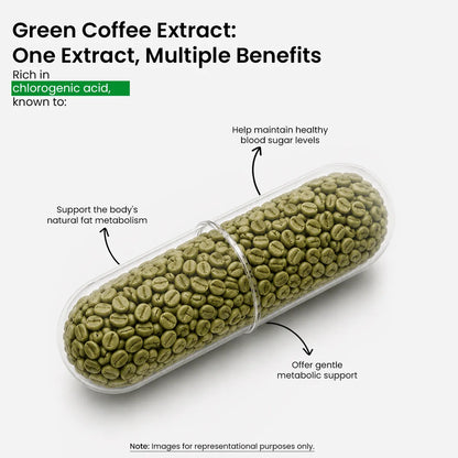 Green Coffee Extract