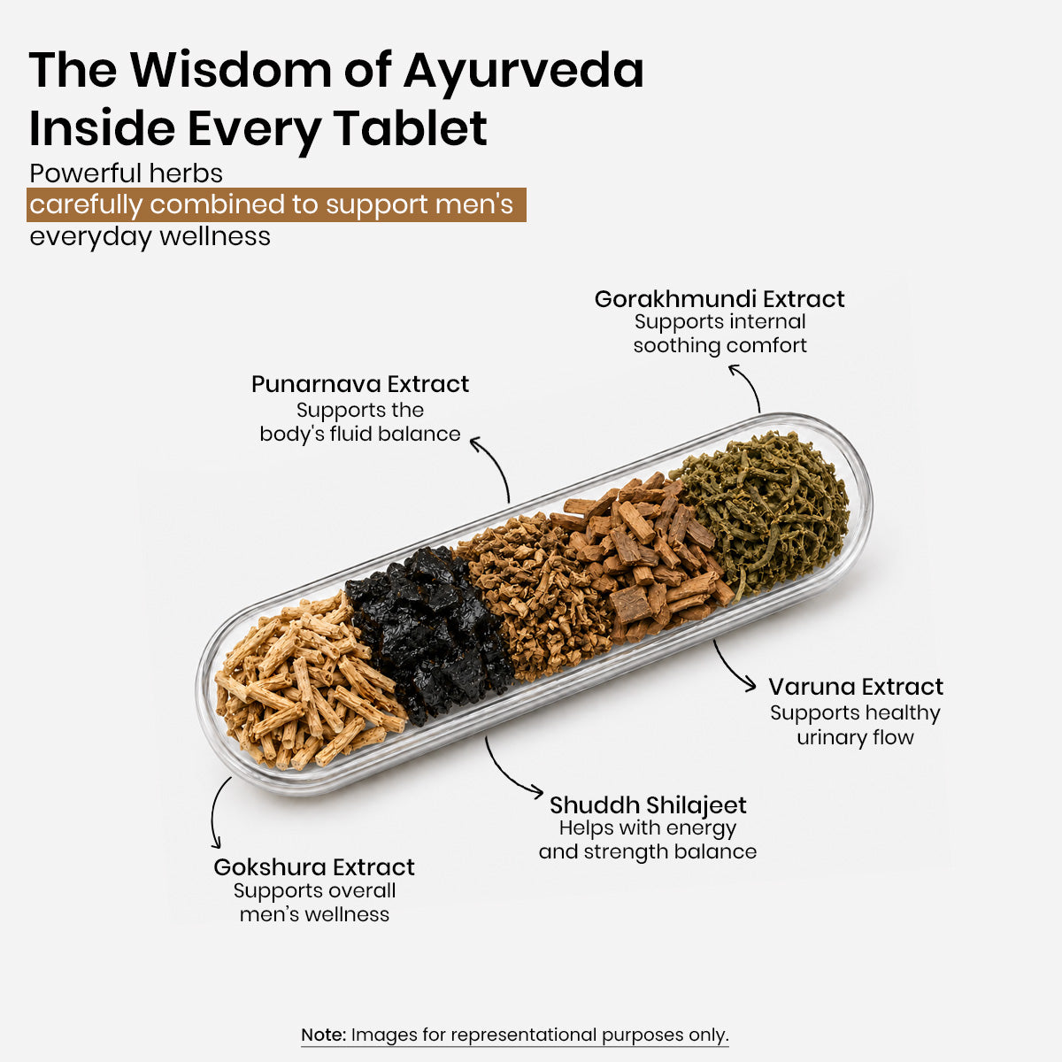 ProstGuardd Tablets | Ayurvedic Support for Prostate Health | 60 Tablets